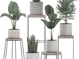 decorative plants in pots on a stand for the interior 528 3D Model
