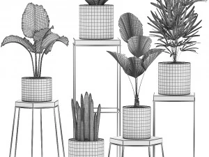 decorative plants in pots on a stand for the interior 528 3D Model