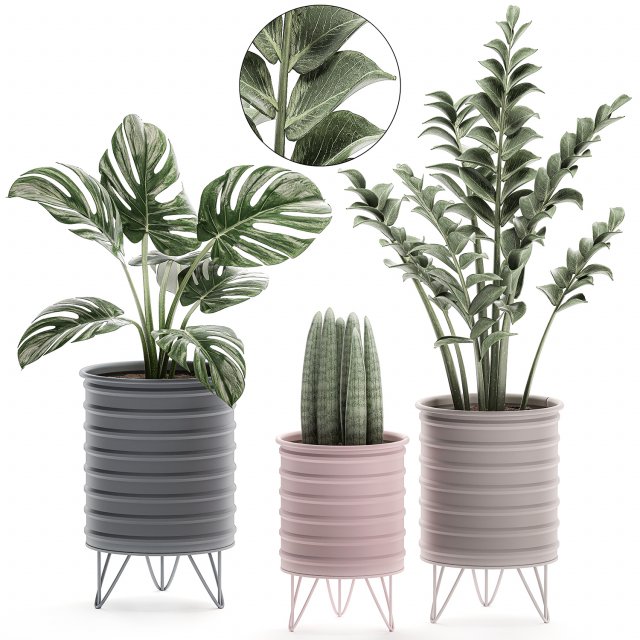 decorative plants in pots on a stand for the interior 529 3D Model .c4d .max .obj .3ds .fbx .stl .blend 