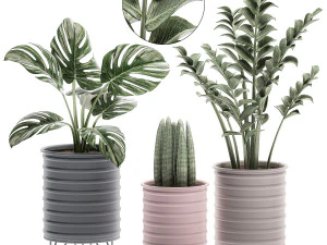 rośliny ozdobne w doniczkach na stojaku do wnętrz 529 Model 3D