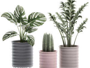 decorative plants in pots on a stand for the interior 529 3D Model