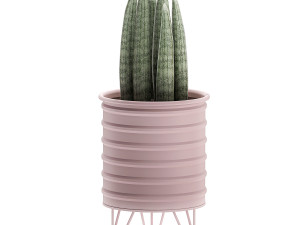decorative plants in pots on a stand for the interior 529 3D Model