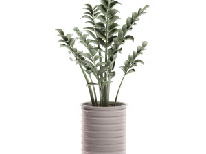 decorative plants in pots on a stand for the interior 529 3D Model
