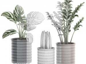 decorative plants in pots on a stand for the interior 529 3D Model