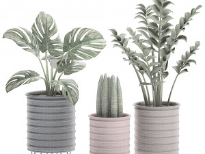 decorative plants in pots on a stand for the interior 529 3D Model