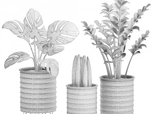 decorative plants in pots on a stand for the interior 529 3D Model