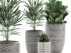 decorative plants in pots on a stand for the interior 530 3D Model