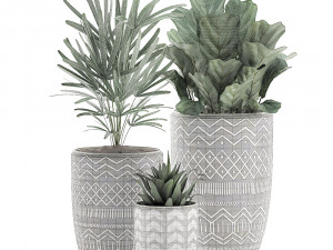 decorative plants in pots on a stand for the interior 530 3D Model