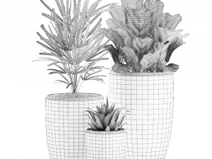 decorative plants in pots on a stand for the interior 530 3D Model