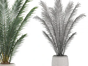 decorative palm in a white flowerpot for interior design 531 3D Model