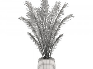 decorative palm in a white flowerpot for interior design 531 3D Model