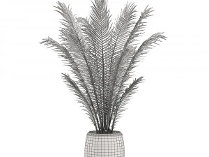 decorative palm in a white flowerpot for interior design 531 3D Model