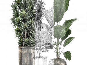 decorative plants in a flowerpot for interior design 532 3D Модель