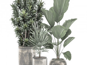 decorative plants in a flowerpot for interior design 532 3D Модель