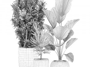 decorative plants in a flowerpot for interior design 532 3D Модель