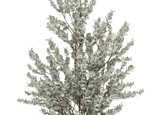 eucalyptus bush in a flowerpot for interior design 535 3D-Modell