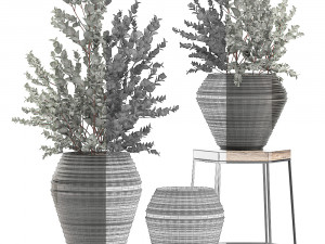 eucalyptus bush in a flowerpot for interior design 535 3D-Modell