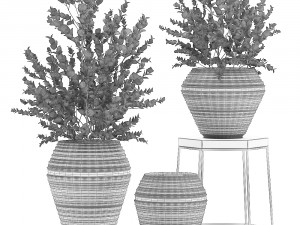 eucalyptus bush in a flowerpot for interior design 535 3D-Modell