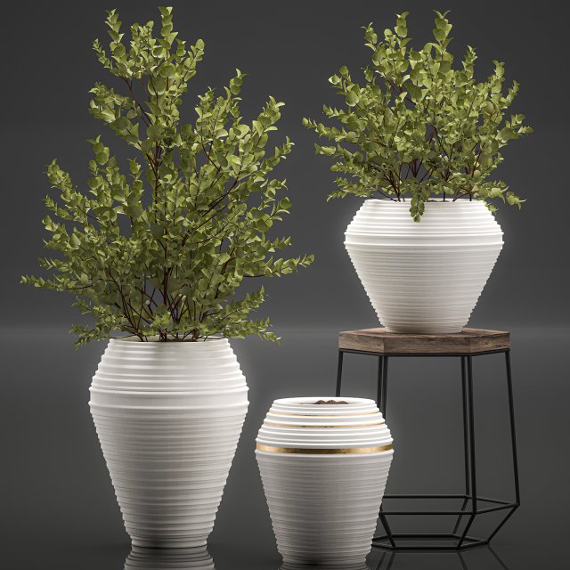 eucalyptus bush in a flowerpot for interior design 536 3D 模型 .c4d .max .obj .3ds .fbx .stl .blend