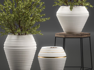 eucalyptus bush in a flowerpot for interior design 536 3D 模型