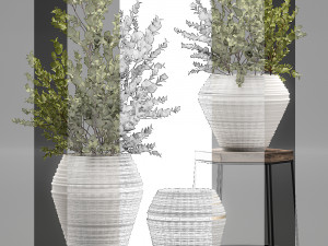 eucalyptus bush in a flowerpot for interior design 536 3D 模型