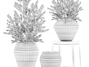 eucalyptus bush in a flowerpot for interior design 536 3D 模型
