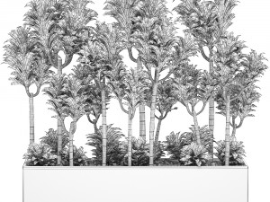 dracena compacta in a flowerpot for interior design 537 3D Model