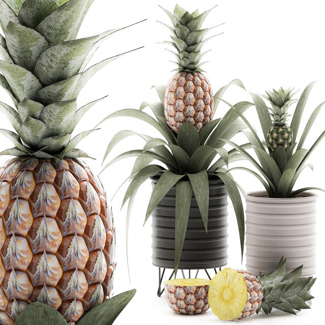 decorative pineapple in a pot for the interior 538 3D मॉडल .c4d .max .obj .3ds .fbx .stl .blend 