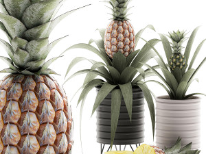 decorative pineapple in a pot for the interior 538 3D Models