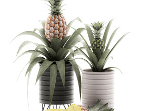 decorative pineapple in a pot for the interior 538 3D मॉडल