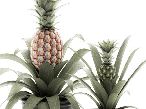 decorative pineapple in a pot for the interior 538 3D मॉडल