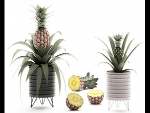 decorative pineapple in a pot for the interior 538 3D मॉडल