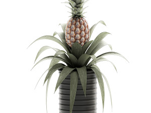 decorative pineapple in a pot for the interior 538 3D मॉडल