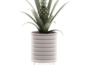 decorative pineapple in a pot for the interior 538 3D मॉडल
