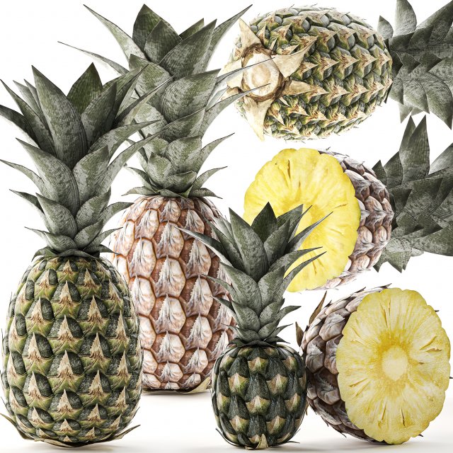 pineapple fruit set 3D Model .c4d .max .obj .3ds .fbx .stl .blend 