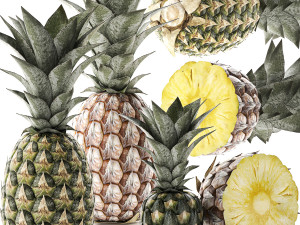 pineapple fruit set 3D Model