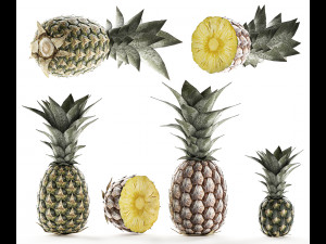 pineapple fruit set 3D Model