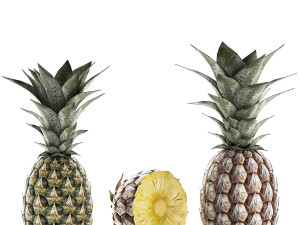 pineapple fruit set 3D Model