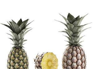 nouaison d'ananas Modèle 3D
