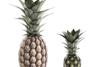 pineapple fruit set 3D Model