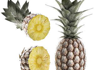 pineapple fruit set 3D Model