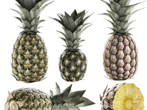 pineapple fruit set 3D Model