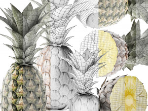 pineapple fruit set 3D Model