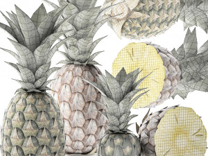 pineapple fruit set 3D Model