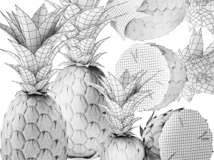 nouaison d'ananas Modèle 3D