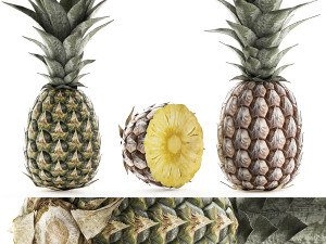 pineapple fruit set 3D Model