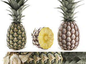 nouaison d'ananas Modèle 3D