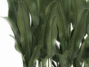 decorative banana in a white flowerpot 539 3D मॉडल