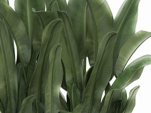 decorative banana in a white flowerpot 539 3D मॉडल