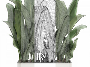 decorative banana in a white flowerpot 539 3D मॉडल